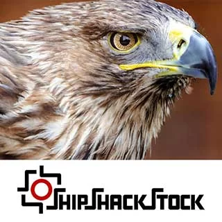 shipshackstock.com